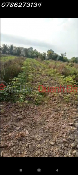 Làm ơn chọn, Nhà ở Niêm yết bán đ 10 tỷ