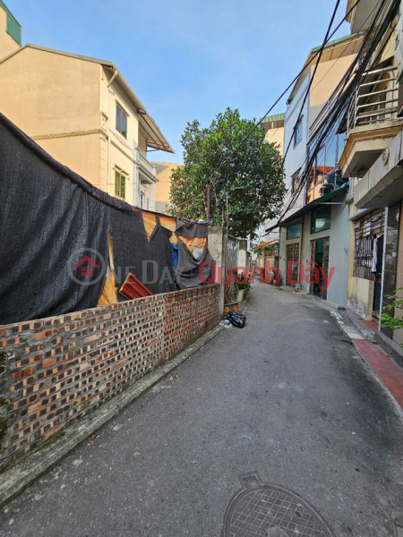 Property Search Vietnam | OneDay | Residential, Sales Listings Investment price - keep money! 81m2 land in Kim Quan Thuong - car alley, slightly over 100 million\\/m2