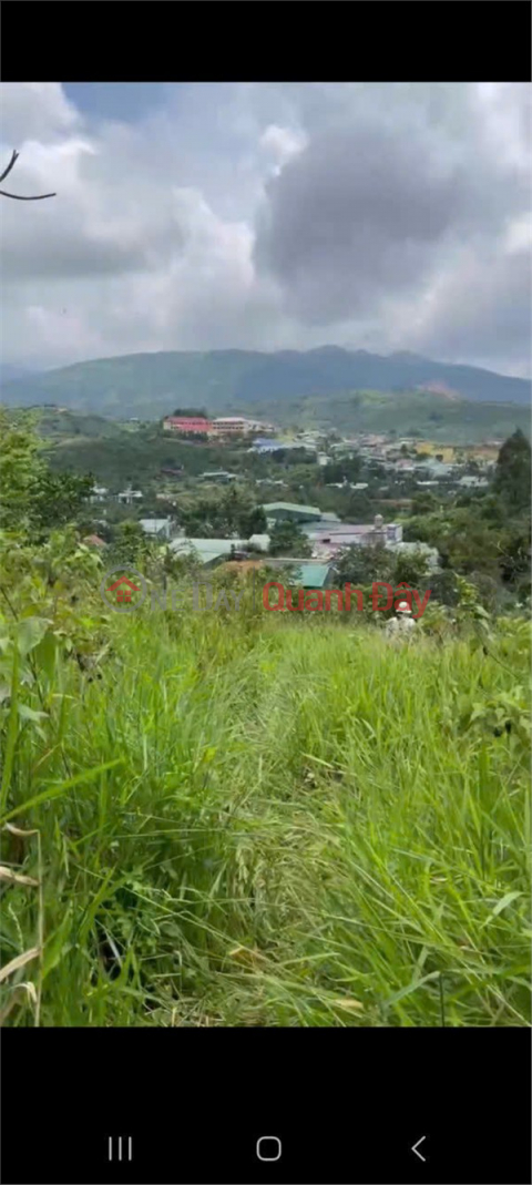 PRIME LAND – GREAT PRICE – OWNER SELLING HILLSIDE PLOT In Dai Lao Commune, Bao Loc City, Lam Dong Province _0