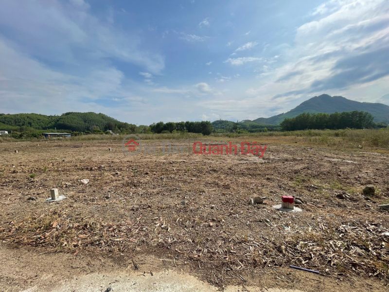 Property Search Vietnam | OneDay | Residential, Sales Listings | Investment Opportunity: 550m2 Agricultural Land Dien Tan Khanh Hoa - Only 395 Million - 8m Road - Red Book