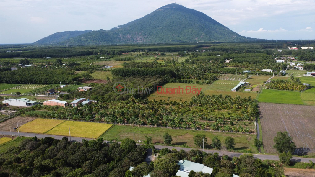 Buying sample land in Tay Ninh: Prime location, great potential Sales Listings