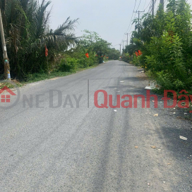 GOOD PRICE - NEED TO SELL A LOT OF LAND IN A BEAUTIFUL LOCATION IN Da Phuoc Commune, Binh Chanh, Ho Chi Minh City _0