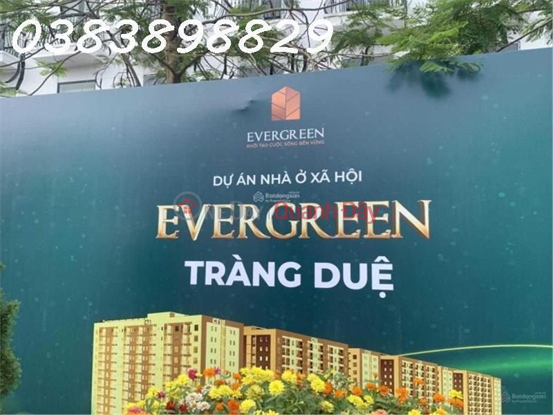 Bán nhà ở xã hội EverGreen Tràng Duệ, An Dương, Hải Phòng - Studio Niêm yết bán