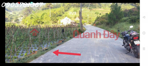 Đất cửa ngõ Đà Lạt, thích hợp nghỉ dưỡng hay đầu tư _0