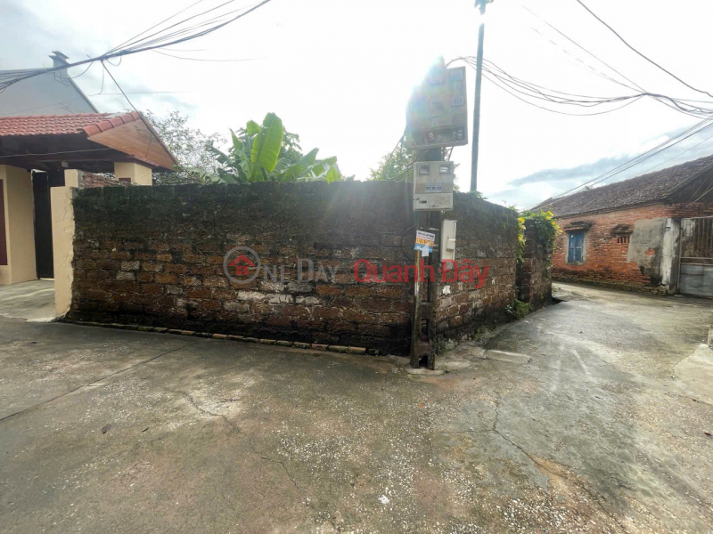 Beautiful corner lot FO 61m2 center of Dai Yen commune, Chuong My | Vietnam | Sales | đ 1.6 Billion