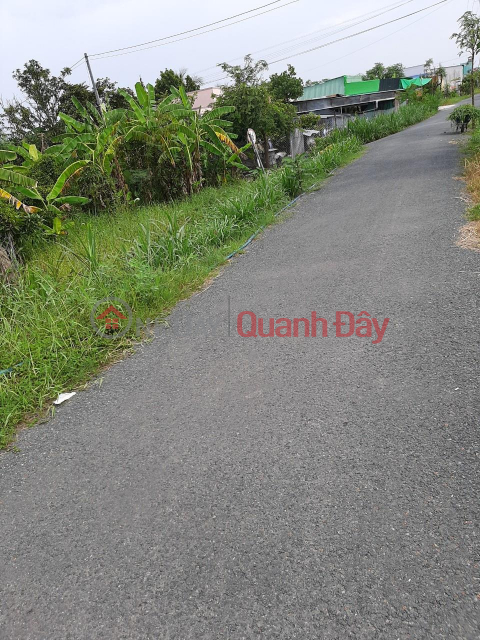 The owner needs to sell a plot of land right in front of the asphalt road, Thuan An Hamlet. _0