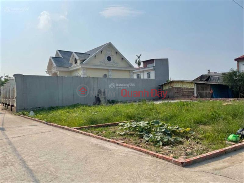 Property Search Vietnam | OneDay | Residential | Sales Listings | (Hang Dep) I need to sell a land lot of 51.7m2, TC 1.4 billion, 4m road at Dinh Trung - Xuan Non.