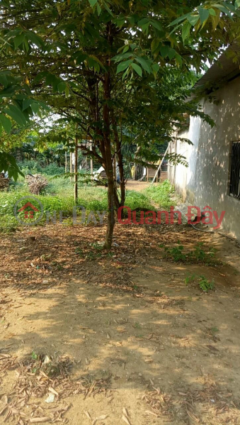 Plot for sale in Hoa Ninh Commune, Hoa Vang District, Da Nang City Sales Listings