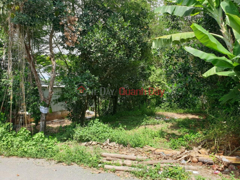 BEAUTIFUL LAND - CASH - For Sale Quickly In Vinh Truong Commune, An Phu, An Giang. Sales Listings