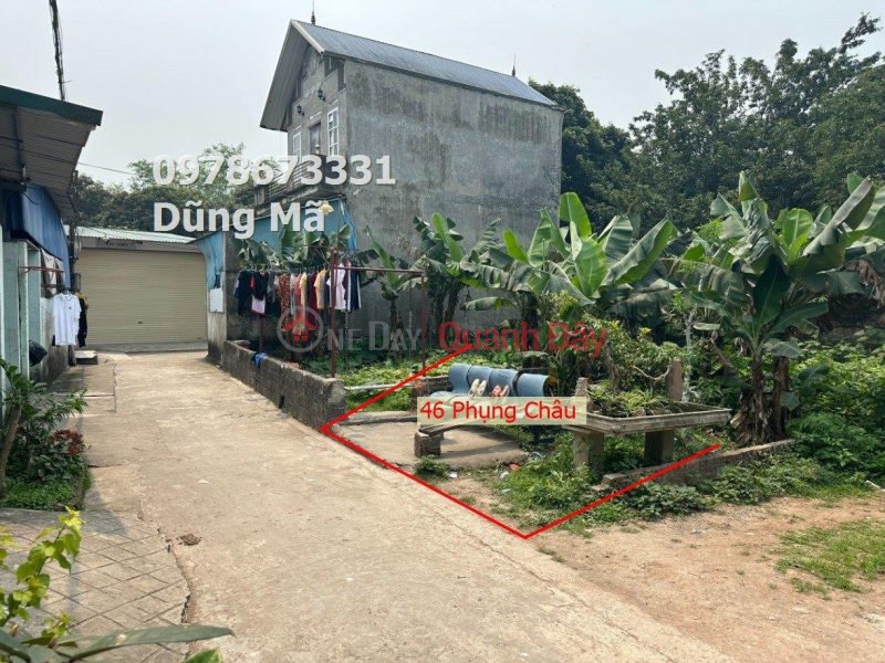 PRICE ONLY 1TY450 PHUONG DONG-PHUONG CHAU Sales Listings