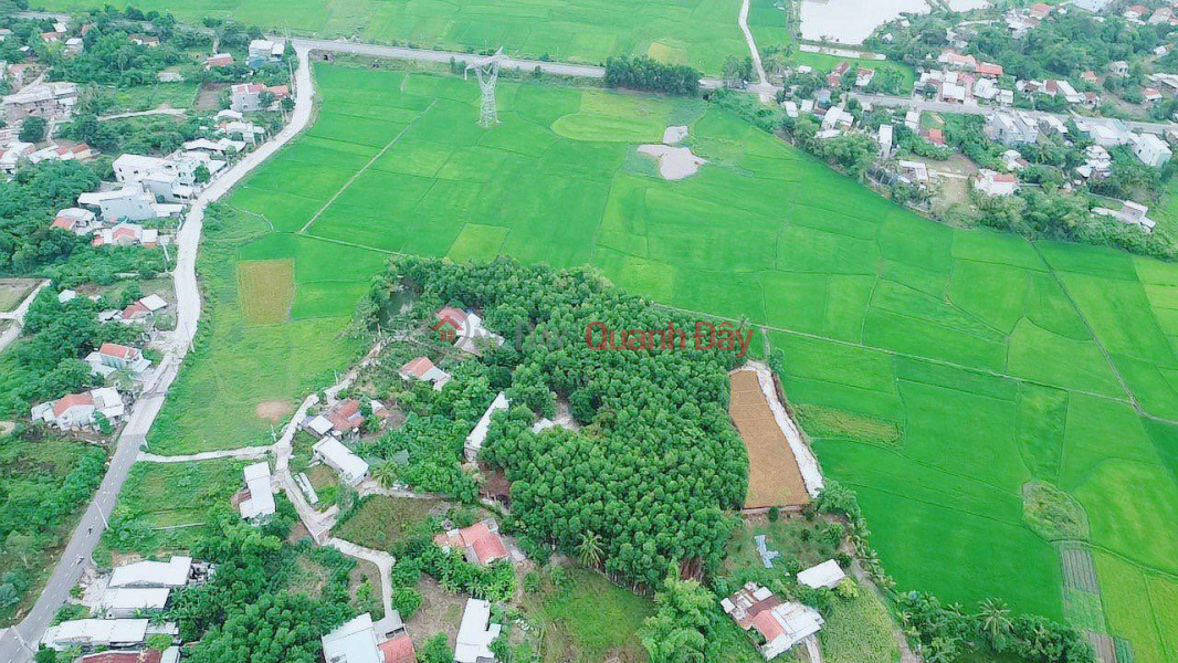 Property Search Vietnam | OneDay | Niêm yết bán Đất Cẩm Toại Trung, Hòa Phong, Hòa Vang, TP Đà Nẵng