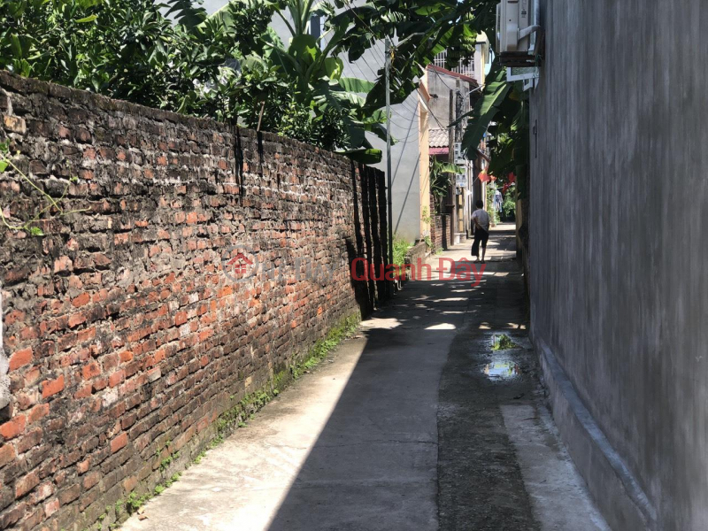 Due to urgent need for liquidity, 40m2 land lot Thai Binh Mai Lam Dong Anh Hanoi has a house available for rent 4 Sales Listings