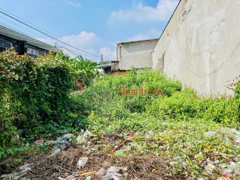 Square Land SHR HXH 106m2 – Bui Cong Trung District 12 SS Sales Listings