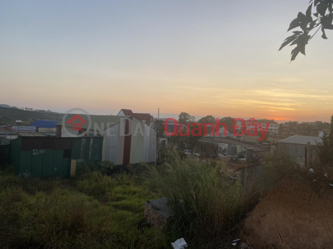 Beautiful Land - Good Price - Owner Needs to Sell Land Lot in Nice Location in Nam Ha Commune, Lam Ha District, Lam Dong _0