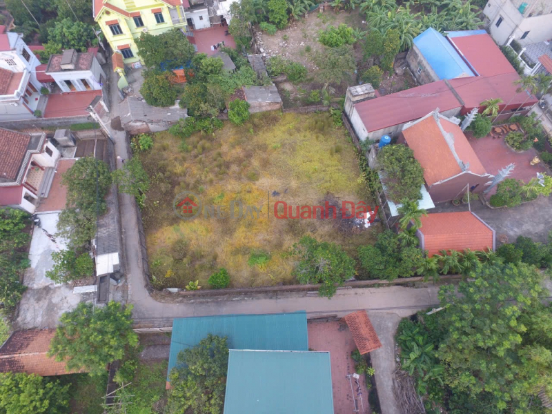 Chính Chủ Bán 768m2 Tại Xóm 1, Động Xá, Xã Lương Bằng, Huyện Kim Động, Tỉnh Hưng Yên. | Việt Nam Bán đ 12 tỷ