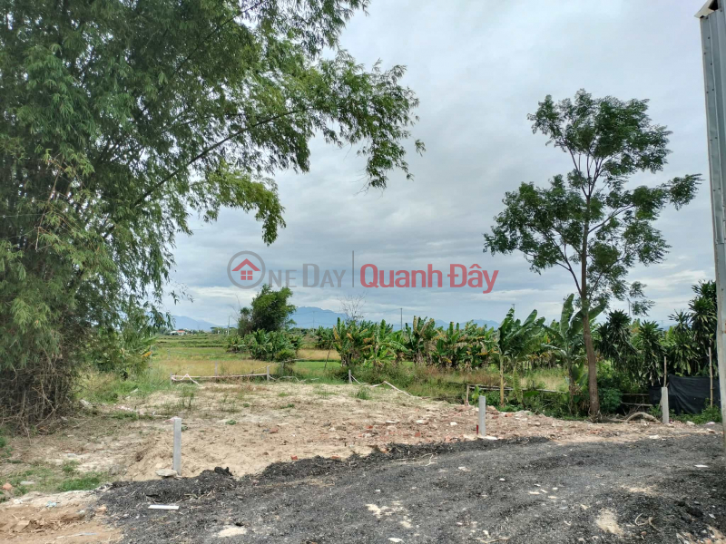 ĐẤT ĐẸP KIỆT LƯU QUANG VŨ – NGŨ HÀNH SƠN - 101,3m² - CHỈ 2,15 TỶ Niêm yết bán