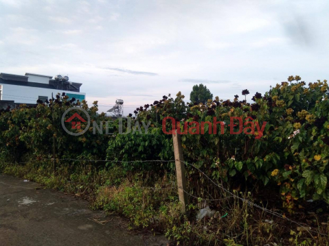 Land for sale in Ninh Gia Duc Trong Lam Dong commune, 935m2, price 1.5 billion _0