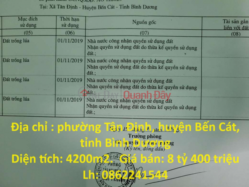 BEAUTIFUL LAND - GOOD PRICE - Need to Sell Land Lot Quickly In Ben Cat District, Binh Duong Province Sales Listings