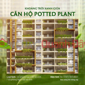 Khoảng trời xanh giữa căn hộ Potted Plant _0