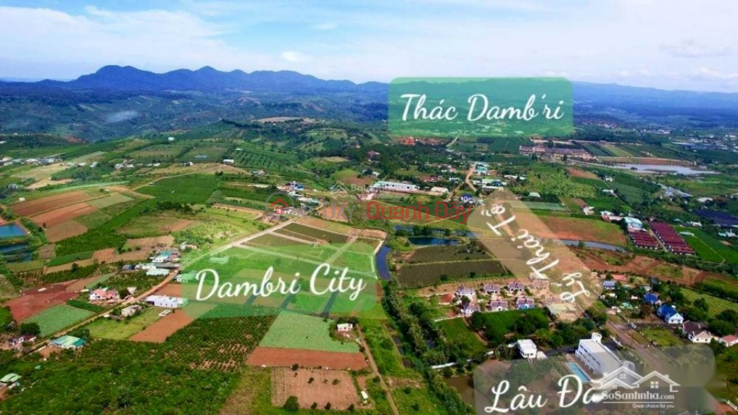 Bán nhà Khu homestay đang kinh doanh tại Bảo Lộc 1.6 tỷ view suối rât đẹp | Việt Nam, Bán, đ 1,6 tỷ