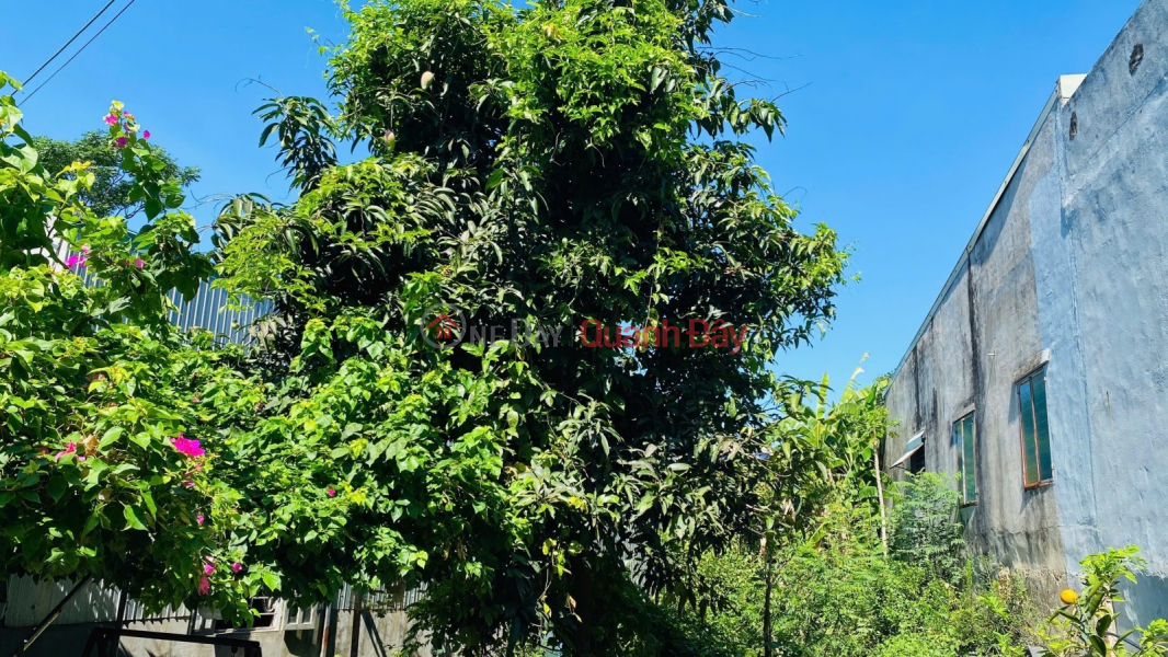 LAND LOT IN NGUYEN NHU DAI ALLEY – 100M² – ONLY 1.79 BILLION! Vietnam, Sales | đ 1.79 Billion
