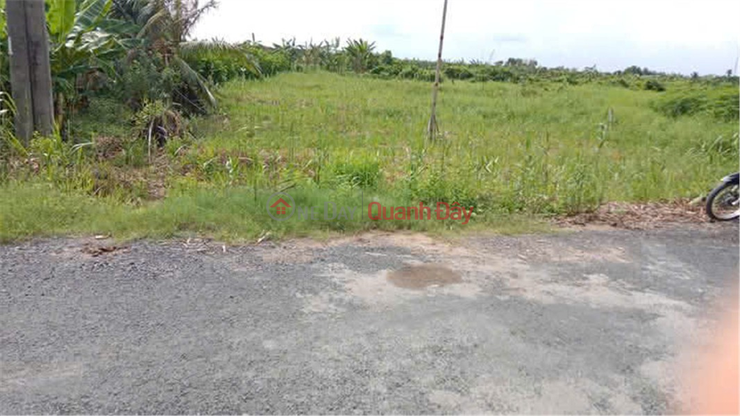 Owner Sells Land on Vam Bi Road - Truong Hoa - 4 Tong, Phong Dien, Can Tho City Sales Listings