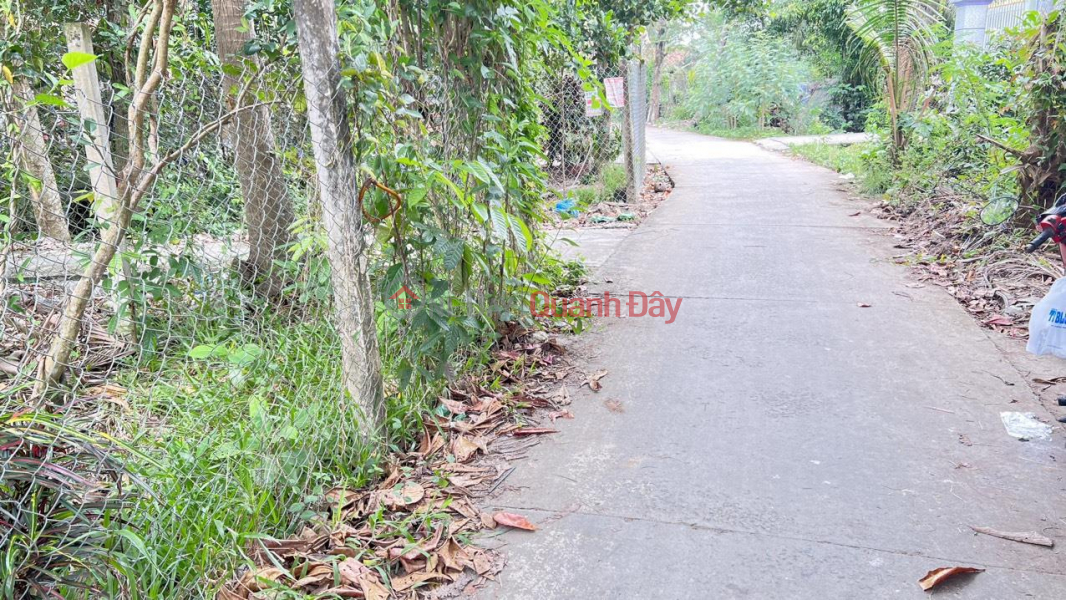 ₫ 1.2 Billion OWNER NEEDS TO SELL LOT OF LAND Beautiful Location In My Loi - My Phong - My Tho City - Tien Giang