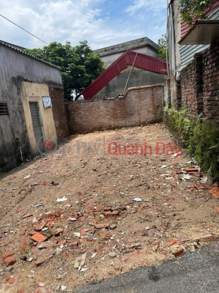 Residential land for sale in Kha Le, with a frontage of over 5m, facing southeast, under 3 billion VND, near the market and school. Sales Listings