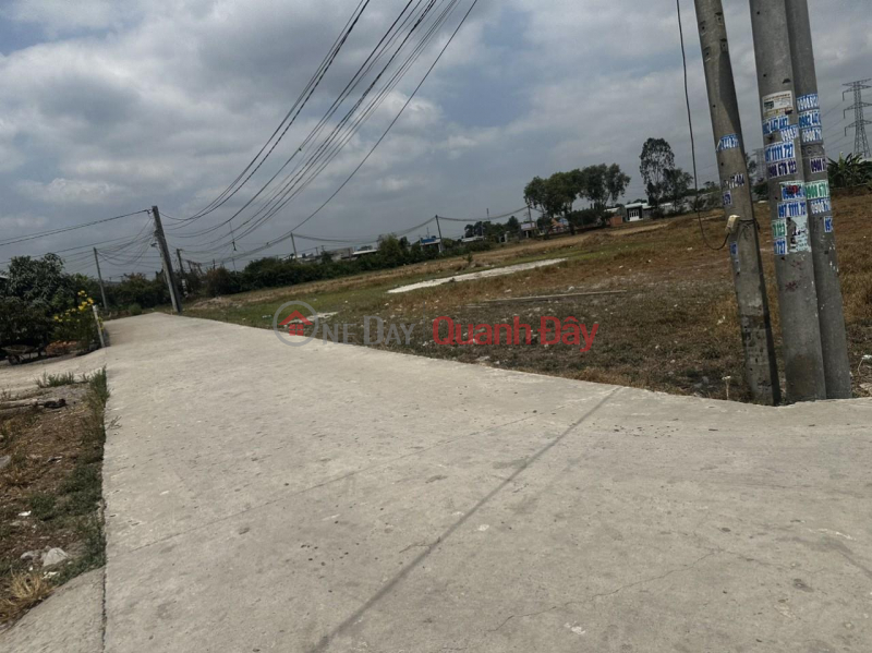 Property Search Vietnam | OneDay | Residential | Sales Listings | BEAUTIFUL LAND - GOOD PRICE - Owner Needs to Sell Land Quickly in Duc Hoa Dong Commune, Duc Hoa, Long An