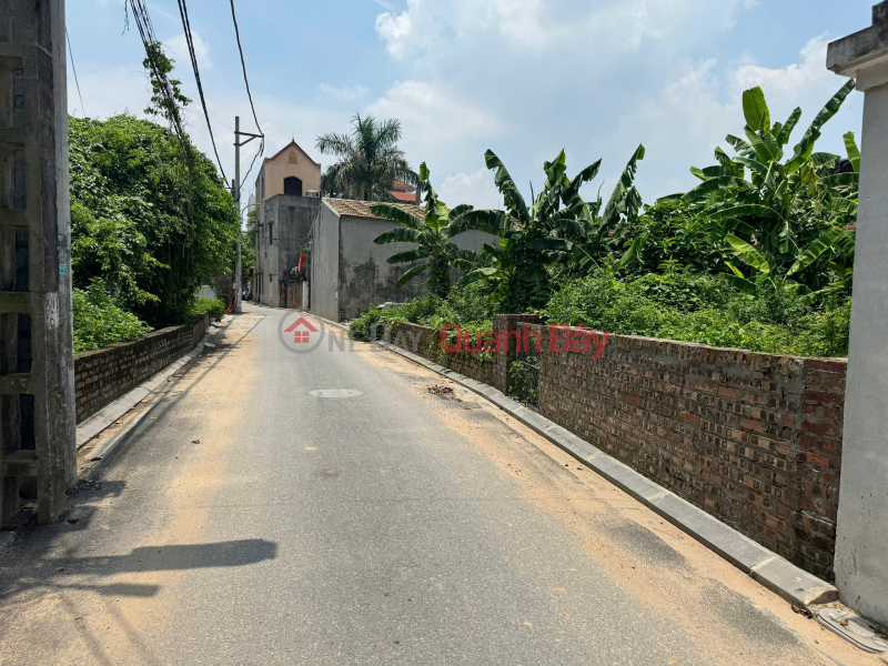 PHUC THINH LAND FOR SALE - SUPER BEAUTIFUL LOCATION <br \\/><br \\/> 162m² – Hamlet 2, Phuc Thinh (Old Van Noi) Sales Listings
