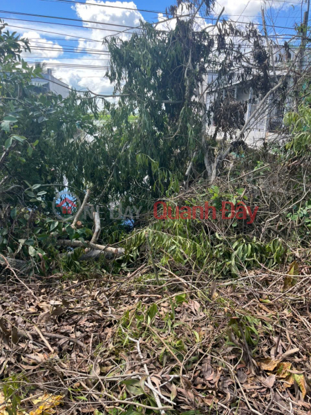 Property Search Vietnam | OneDay | Nhà ở, Niêm yết bán, ĐẤT ĐẸP – GIÁ TỐT- CHÍNH CHỦ CẦN BÁN ĐẤT Tại Gần Quốc Lộ 1A, Xã Châu Thới, Huyện Vĩnh Lợi, Bạc Liêu