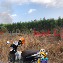 Land for sale in Tam Phuoc - Bien Hoa - Dong Nai _0