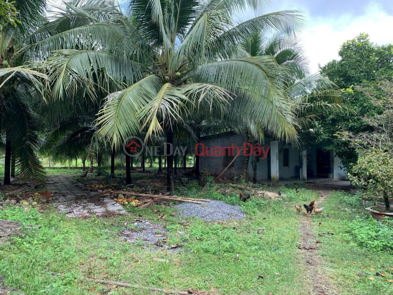 Property Search Vietnam | OneDay | Nhà ở Niêm yết bán | ĐẤT ĐẸP CỰC KỲ TIỀM NĂNG - BÊN KCN DIÊN THỌ, KHÁNH HÒA - Giá cực tốt cho khu công nghiệp