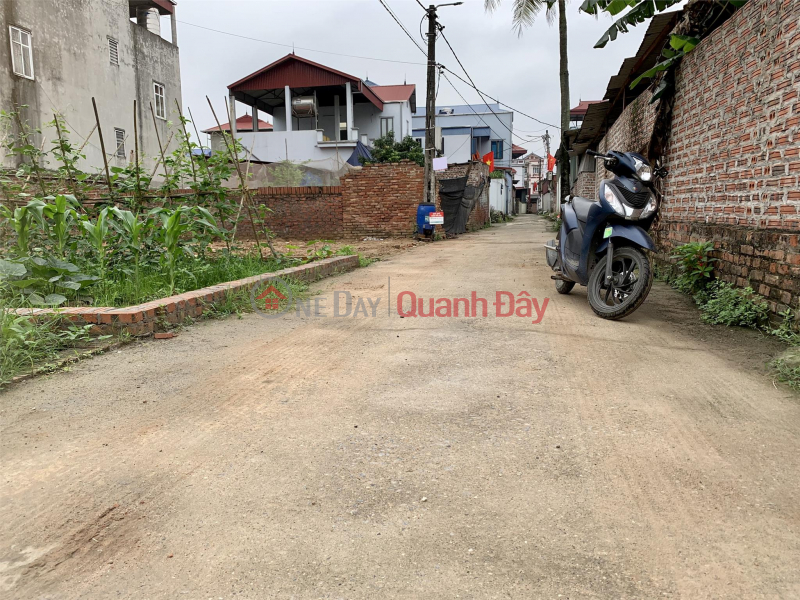 Selling 69.3m2 of land in Dinh Trung village, Xuan Non, Dong Anh. Car-accessible road - 100% residential land, Vietnam | Sales, đ 2.25 Billion