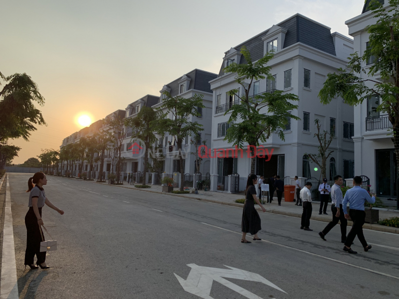 Property Search Vietnam | OneDay | Nhà ở Niêm yết bán, Ra mắt khu dinh thự Solasta Mansion đẹp nhất Dương Nội, giá gốc CĐT Nam Cường, 170m2 giá 25 tỷ