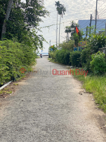 Bán Đất Thổ Cư 256m2, Mặt Tiền Đường Bùi Thị Xuân- Phường Sa Đéc, Đồng Tháp. Giá 1 tỷ 650 triệu | Việt Nam Bán đ 1,65 tỷ