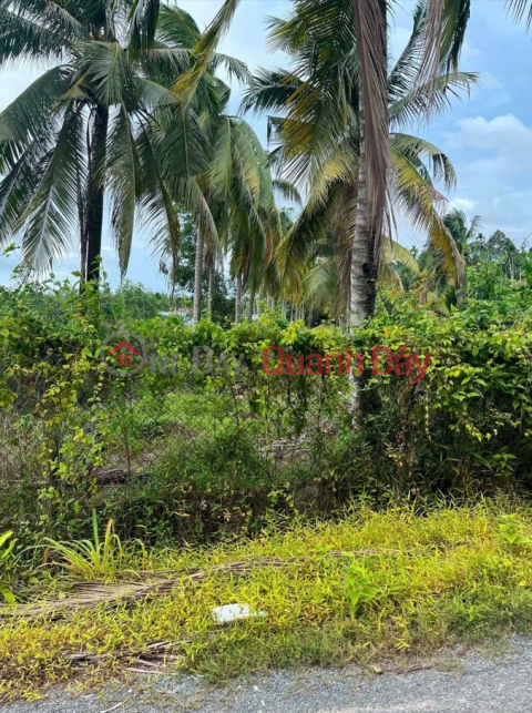 Owner selling land in Gia Loc, Tay Ninh. 10m wide, 95m long, accessible by car. Price: 1.2 billion VND (negotiable). _0