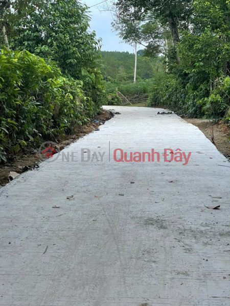 Property Search Vietnam | OneDay | Residential Sales Listings OWN 450M² IN PHU THO FOR ONLY 400 MILLION VND, A GUARANTEED PROFITABLE INVESTMENT OR RESIDENTIAL USE