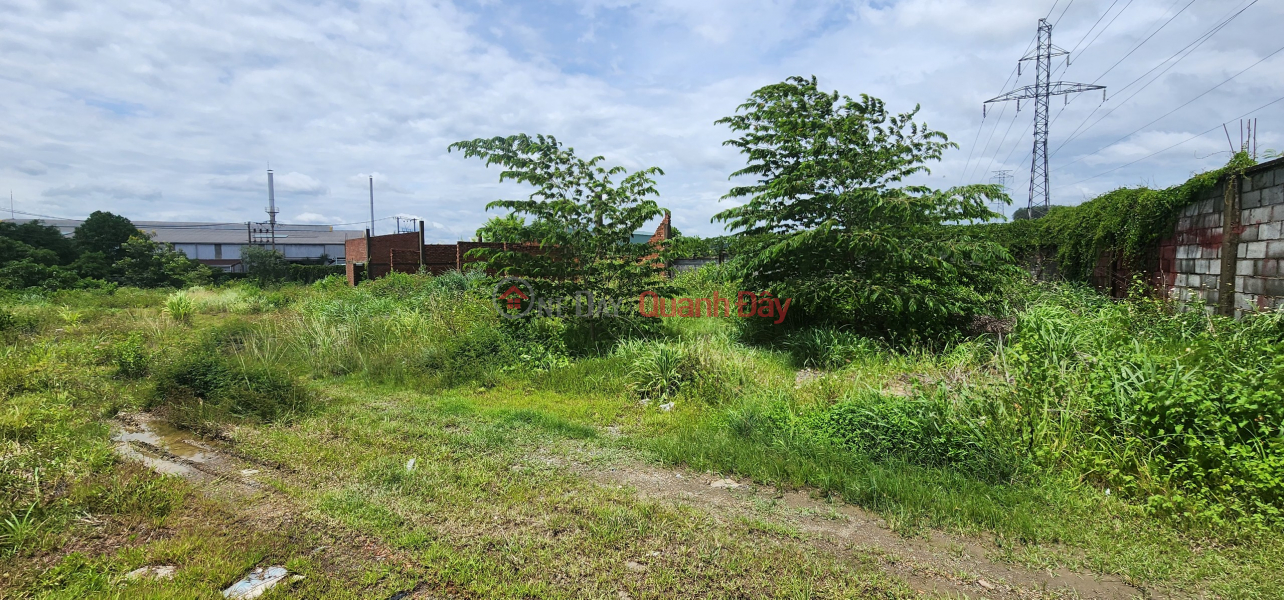 Selling land suitable to build a factory or factory or warehouse in Thien Tan Vinh Cuu Industrial Park Sales Listings