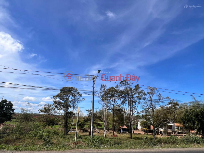 The owner quickly sold a very beautiful, super rare piece of land at a cheap price in Ngo Quyen, Tra Da commune, Plei Ku city, Vietnam, Sales, đ 6.5 Billion