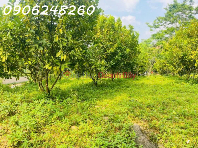 Property Search Vietnam | OneDay | Nhà ở, Niêm yết bán, CC cần bán đất thổ cư tại Thị trấn Đà Bắc, 4366 m2, view đẹp hàng hiếm giá rẻ (500k/m2)