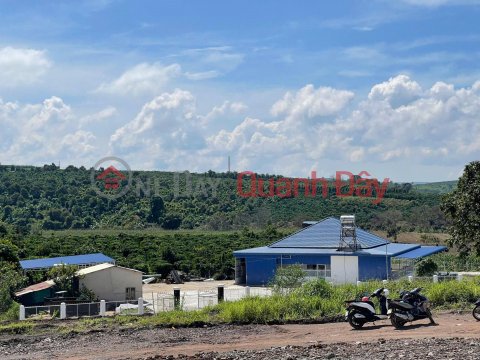 BÁN 1000m² ĐẤT ĐẸP – GIÁ 630 TRIỆU - Vị trí: Tân Hà, Lâm Hà, Lâm Đồng _0