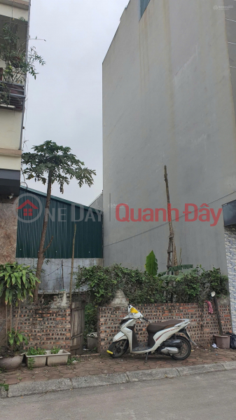 Owner sells auctioned land A1, group 7, Cu Khoi, 65.2m2, 5.5m frontage, 13m street, sidewalk | Vietnam Sales đ 185 Million