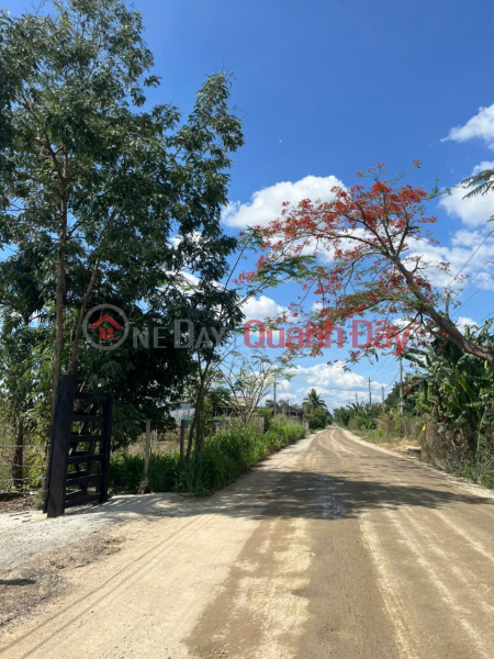 Property Search Vietnam | OneDay | Nhà ở | Niêm yết bán ĐẤT ĐẸP – GIÁ TỐT – CHÍNH CHỦ CẦN BÁN GẤP ĐẤT Tại Chợ Quỳnh Ngọc , Xã Ea Na, Đắk Lắk