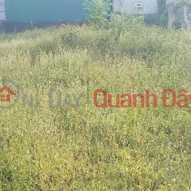 PRIME LAND - GOOD PRICE - For Quick Sale In Nghi Xuan Commune, Nghi Loc, Nghe An _0