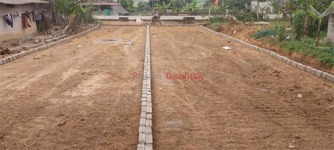 PROFITABLE INVESTMENT – 3 PLOTS OF LAND FOR SALE IN A PRIME LOCATION IN THACH THANH DISTRICT, THANH HOA PROVINCE | Vietnam Sales, đ 225 Million