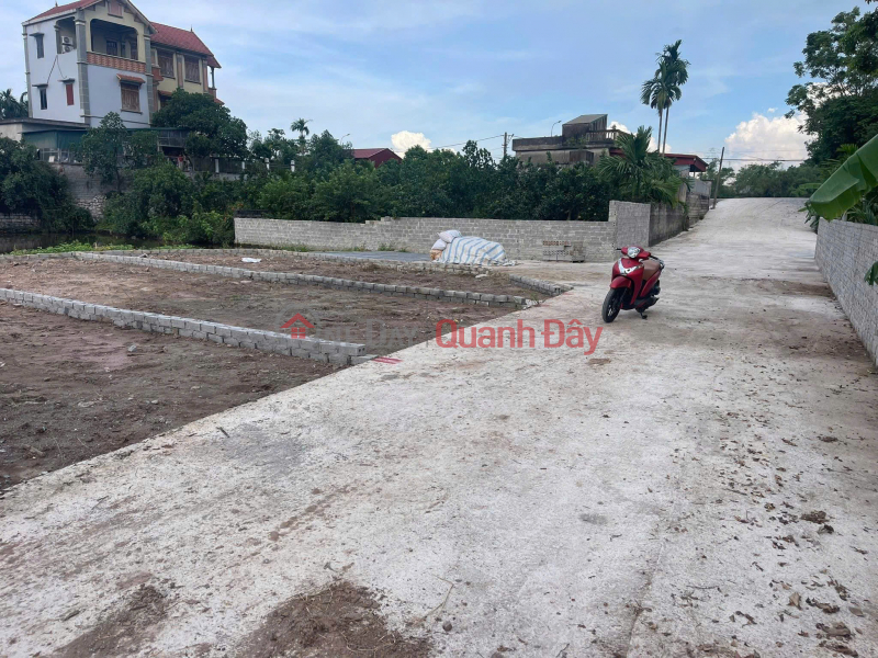 Property Search Vietnam | OneDay | Nhà ở Niêm yết bán Bán đất thổ cư Trác Văn, Duy Tiên, Hà Nam, DT 61m2, MT 5.5m, đường 38, giá 1.6 tỷ, sổ đỏ.