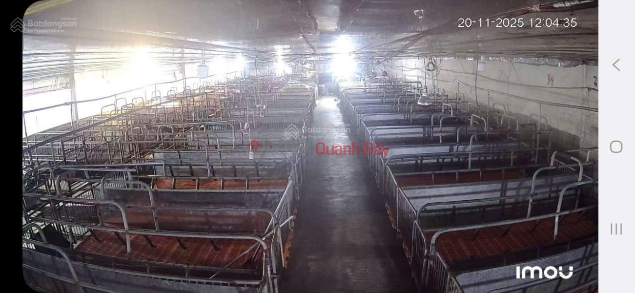 ĐẤT ĐẸP- GIÁ TỐT- CẦN BÁN NHANH ĐẤT tại Xã Phúc Thọ, Lâm Hà, Lâm Đồng, Việt Nam, Bán đ 65 tỷ