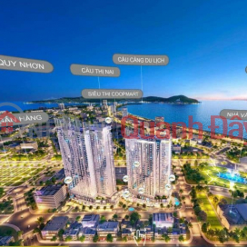 Owning a Sea View Apartment in the center of Quy Nhon City _0