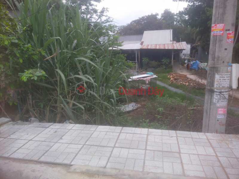 Property Search Vietnam | OneDay | Residential | Sales Listings Land for sale by owner, front of Vo Van Hoai street, Long Xuyen, An Giang